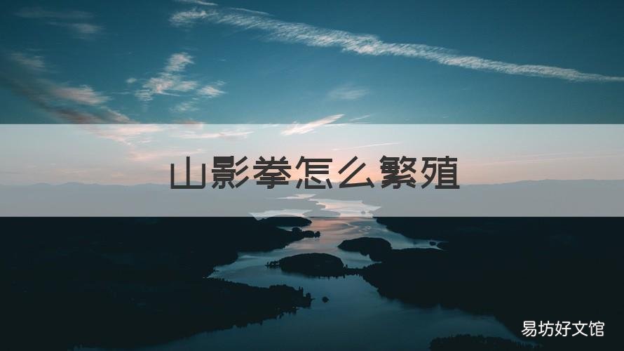 山影拳怎么繁殖 山影的种类和繁殖方法