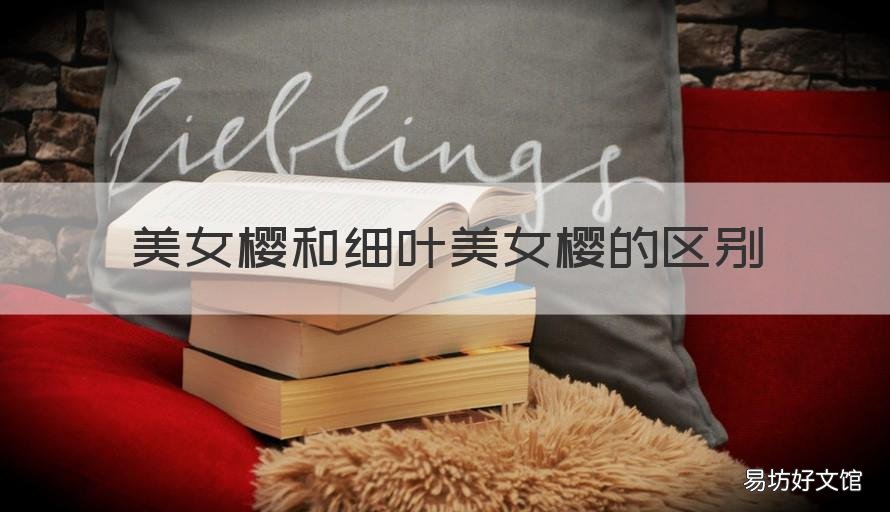 美女樱和细叶美女樱的区别 细叶美女樱介绍
