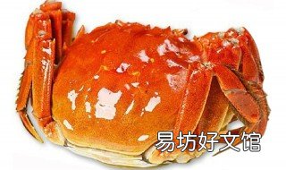 螃蟹怎么冷冻保存 螃蟹怎么冷冻保存一个月