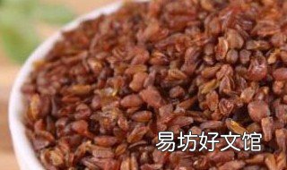 黑苦乔的用途 黑苦乔和黑乔麦的区别在哪里