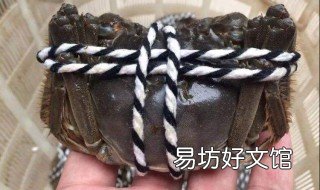 捆螃蟹的方法介绍 螃蟹怎样捆