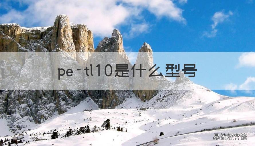 pe-tl10是什么型号