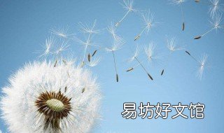 蒲公英作用 蒲公英的药用