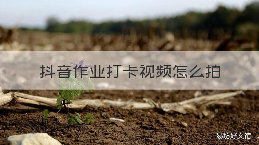 抖音作业打卡视频怎么拍 抖音里作业打卡的视频怎么录