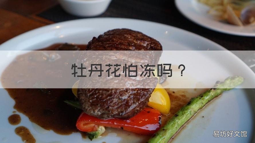 牡丹花怕冻吗 牡丹花冬天怕冻吗?