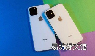 苹果11规格尺寸 苹果 11 尺寸