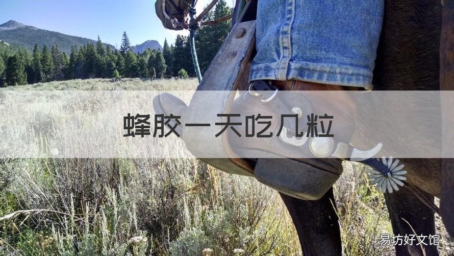 蜂胶一天吃几粒 swisse蜂胶一天吃几粒