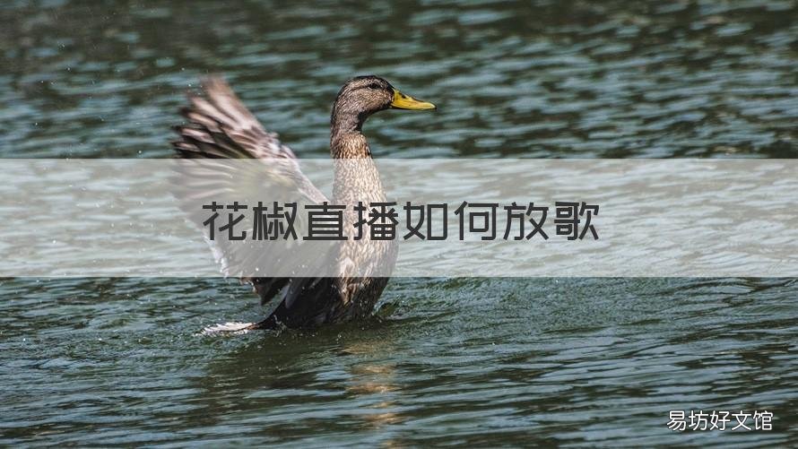 花椒直播如何放歌 花椒直播用手机直播怎么放歌