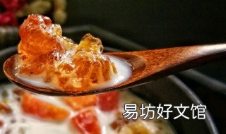 木瓜桃胶的做法 木瓜炖桃胶的做法大全
