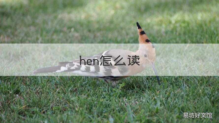 hen怎么读 hen怎么读音标
