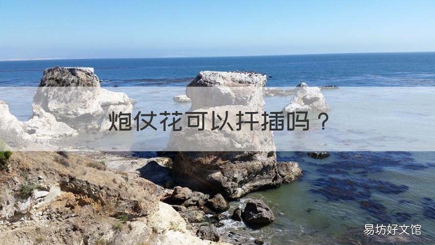 炮仗花可以扦插吗 炮仗花能插活吗