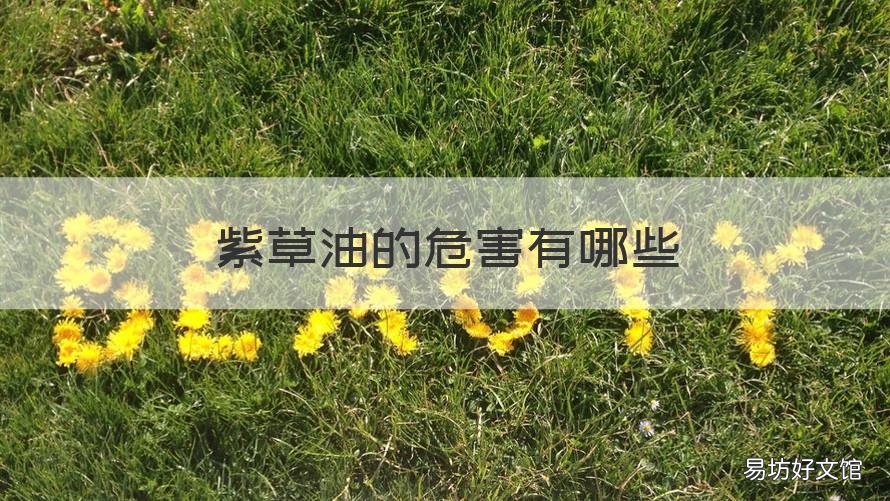 紫草油的危害有哪些 紫草油有什么副作用