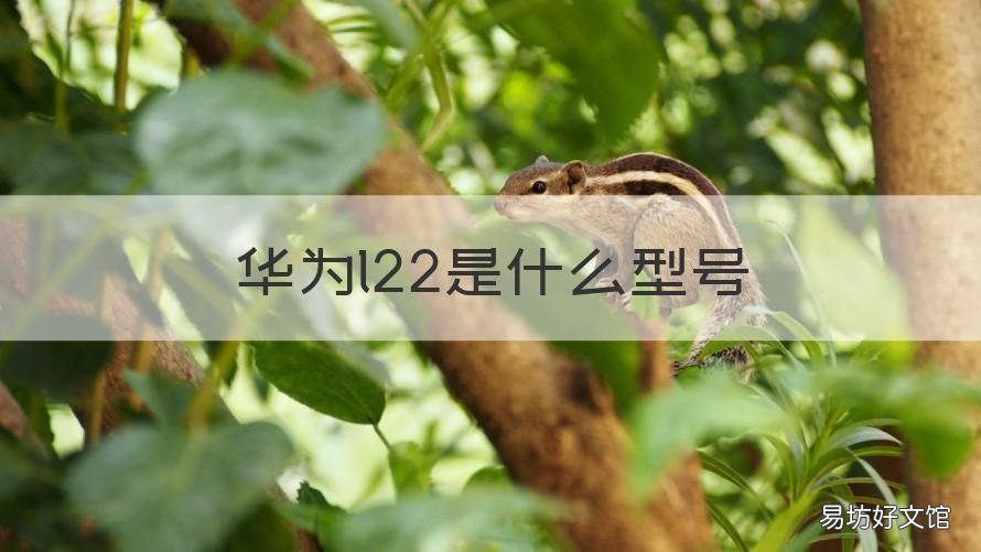 华为l22是什么型号 华为ale-l21是什么型号