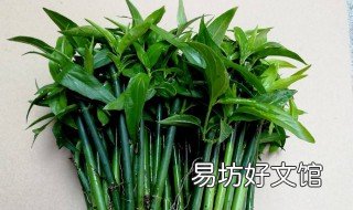 忧遁草熬水喝的功效 忧遁草煮汤喝的做法?