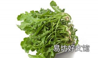 荠菜的作用 野生荠菜的作用