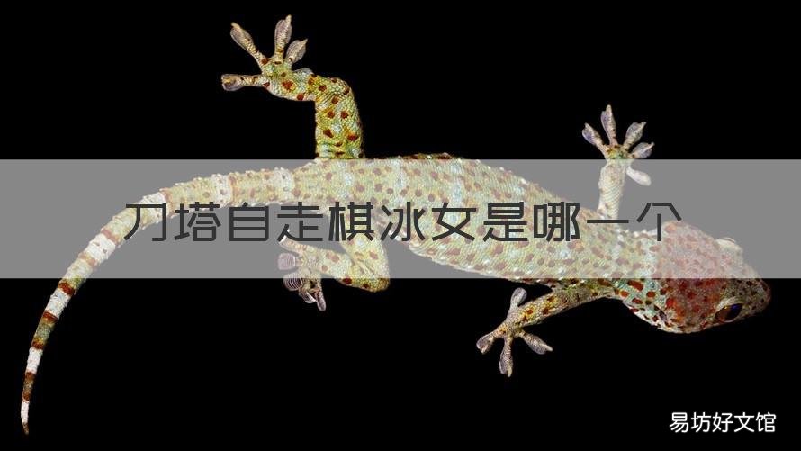 刀塔自走棋冰女是哪一个 刀塔冰女全名叫什么