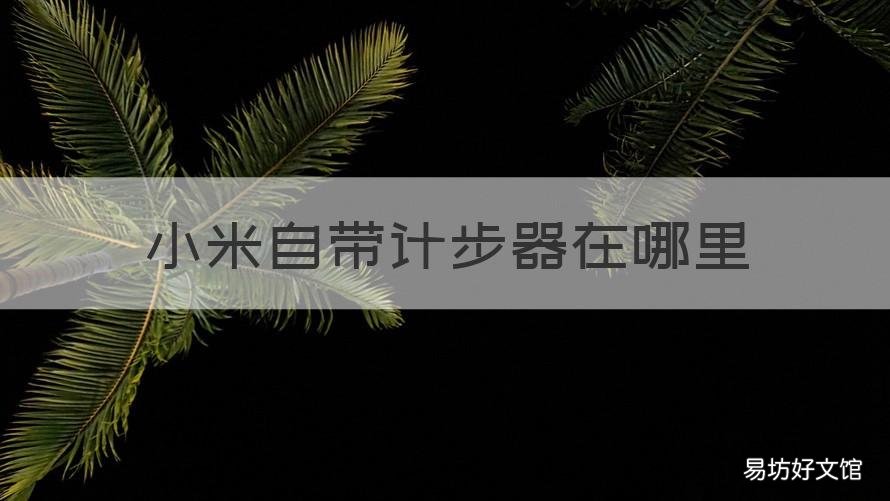 小米自带计步器在哪里 小米手机上的计步器怎么找