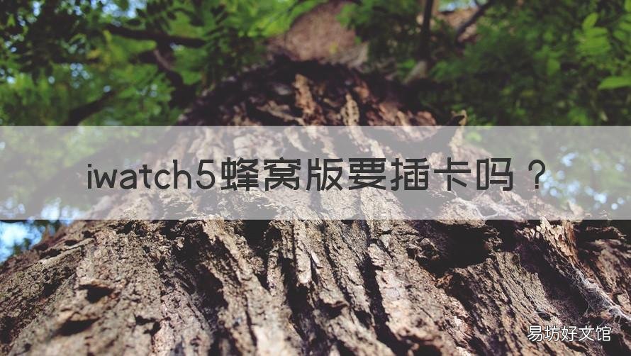 iwatch5蜂窝版要插卡吗 applewatchseries5蜂窝版要插卡吗
