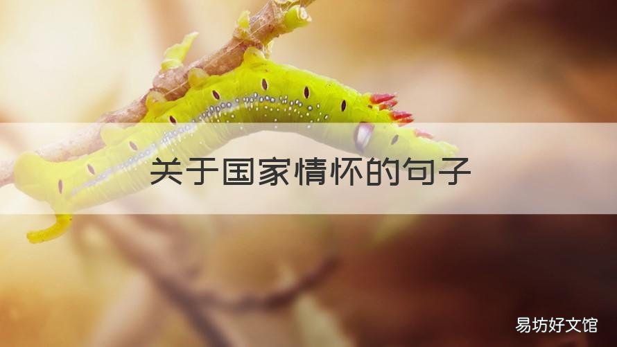 关于国家情怀的句子 有关家国情怀的短句