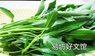 什么病不能吃空心菜 生病不能吃空心菜吗