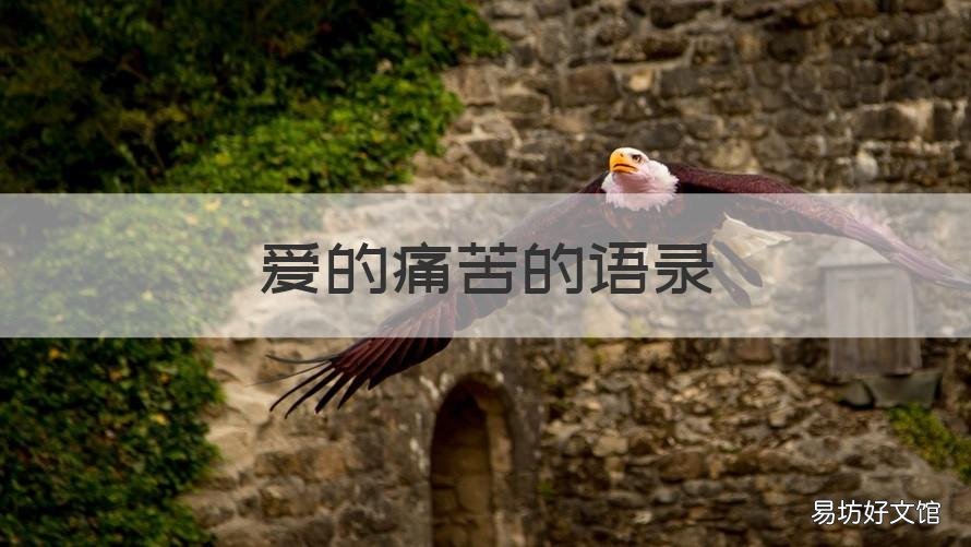 爱的痛苦的语录 爱的痛苦句子