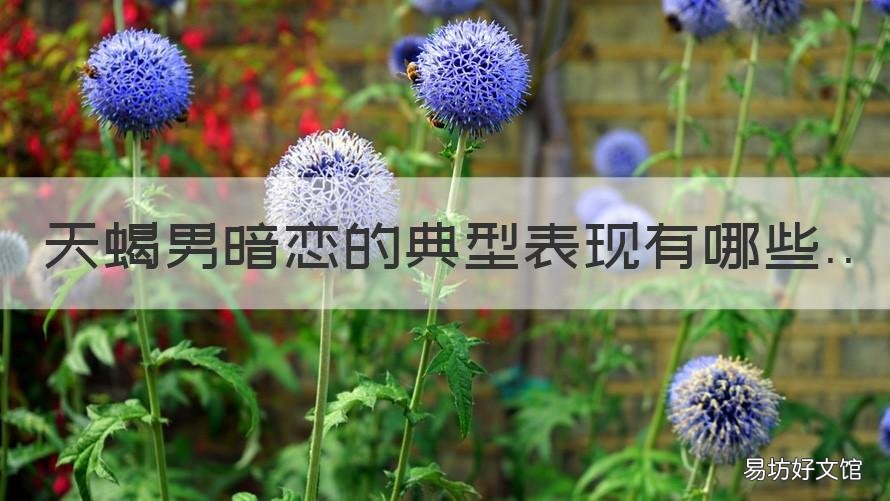 天蝎男暗恋的典型表现有哪些 天蝎男暗恋的典型表现有哪些女生