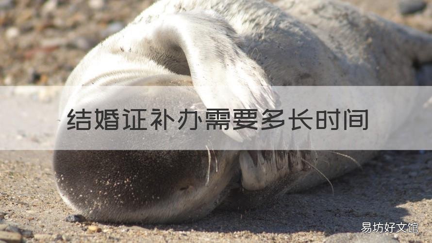 结婚证补办需要多长时间 结婚证补办多长时间可以离婚