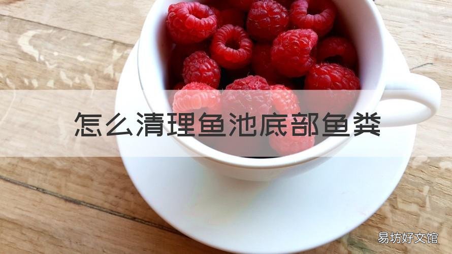 怎么清理鱼池底部鱼粪 鱼缸底部鱼粪怎么清理