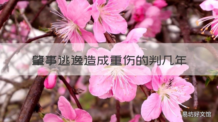 肇事逃逸造成重伤的判几年 肇事逃逸致重伤判几年