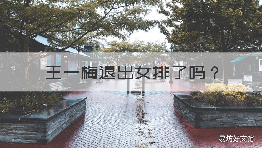 王一梅退出女排了吗 女排放弃王一梅