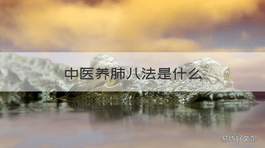 中医养肺八法是什么 中医养肺八法教材