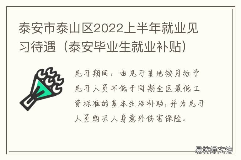 泰安市泰山区2022上半年就业见习待遇 泰山区就业办