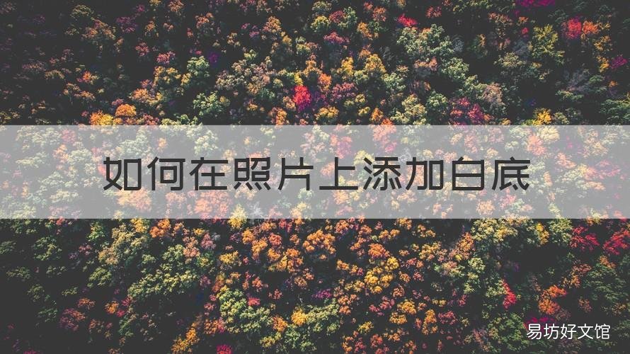 如何在照片上添加白底 怎么给照片弄白底