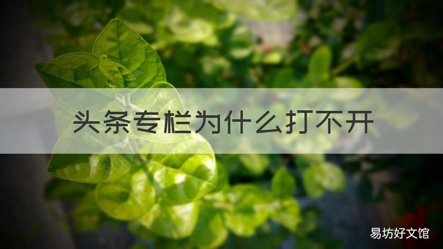 头条专栏为什么打不开 头条内容打不开怎么办