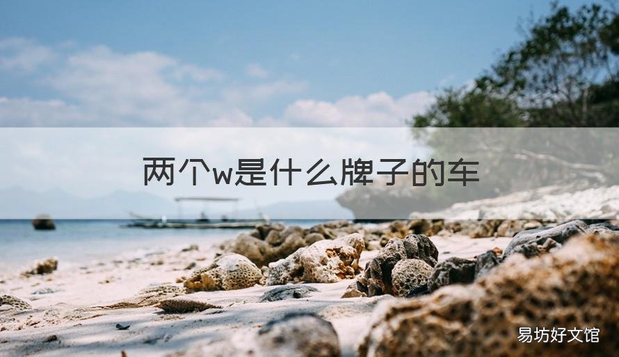 两个w是什么牌子的车 两个w是什么车牌子多少钱