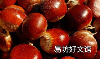 板栗怎样保存才不烂 板栗怎样保存才不烂皮