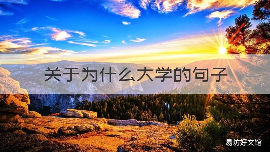 关于为什么大学的句子 关于大学的短句