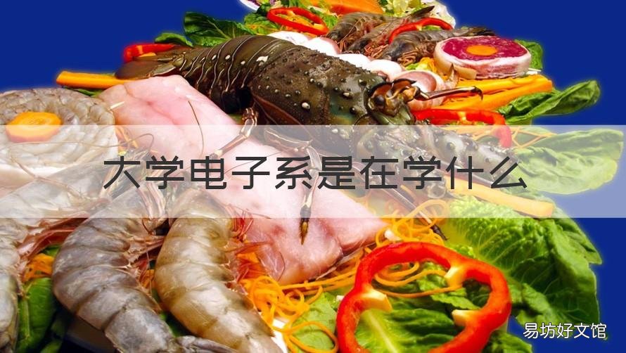 大学电子系是在学什么 电子在大学在哪个专业