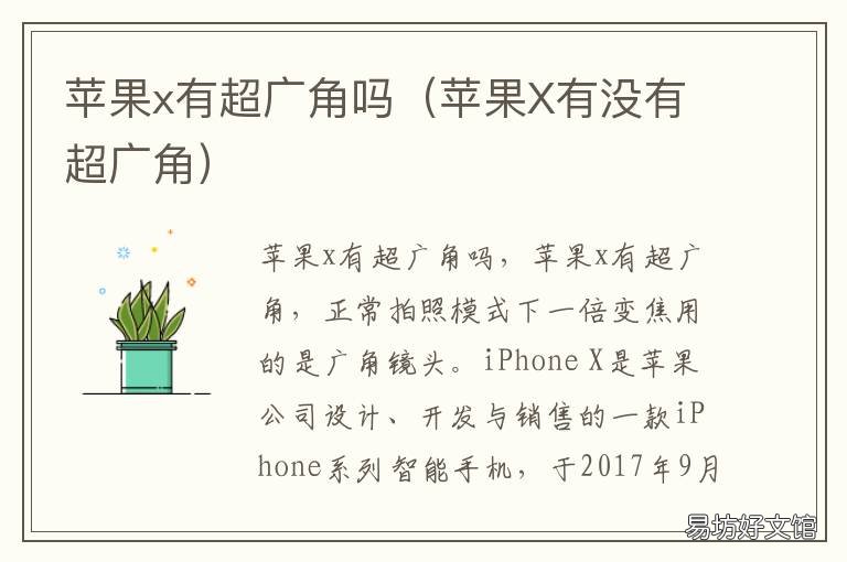 苹果x有超广角吗 苹果X手机有没有超广角