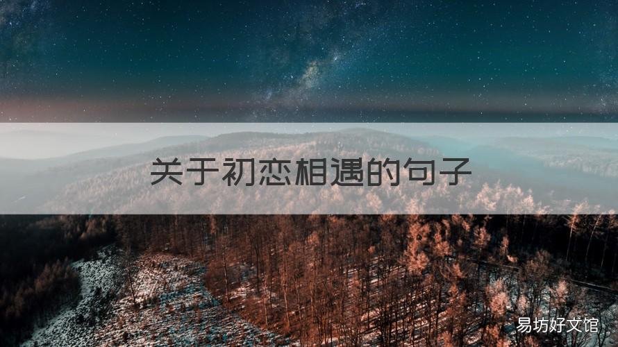 关于初恋相遇的句子 见初恋的感觉的句子
