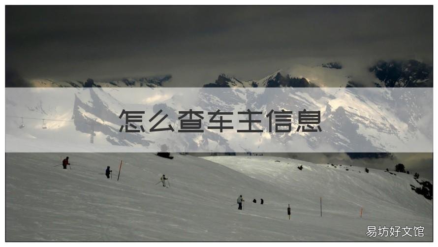 怎么查车主信息 怎么查别人的车辆信息