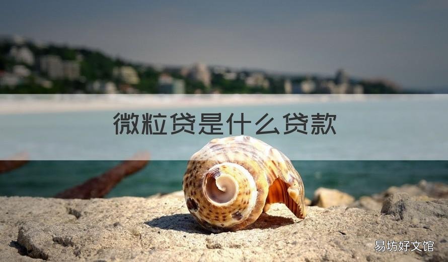 微粒贷是什么贷款 微粒贷是什么贷款可靠吗