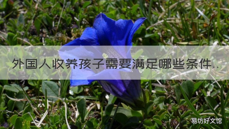 外国人收养孩子需要满足哪些条件