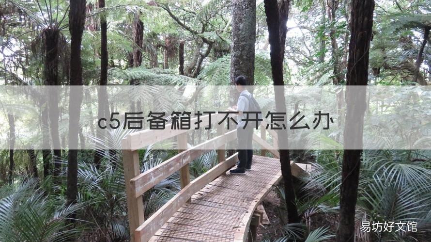 c5后备箱打不开怎么办 雪铁龙c5后备箱打不开钥匙也打不开