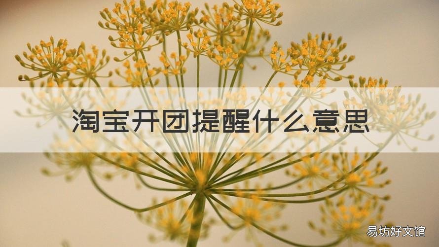 淘宝开团提醒什么意思 淘宝里面开团提醒是什么意思