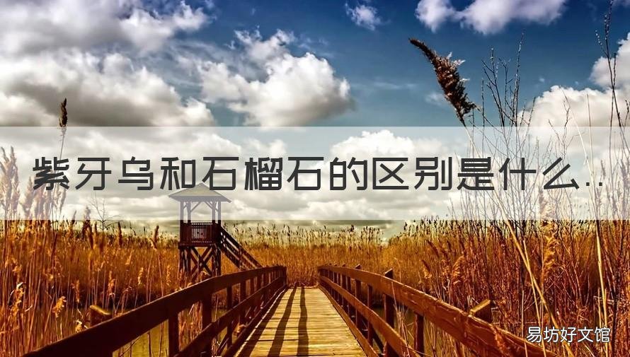 紫牙乌和石榴石的区别是什么 紫牙乌和石榴石的区别图片