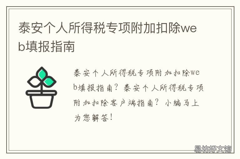 泰安个人所得税专项附加扣除web填报指南 个人所得税附加专项扣除标准