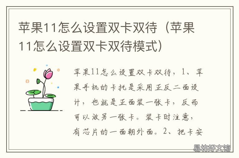 苹果11怎么设置双卡双待 苹果11怎么设置双卡双待手机