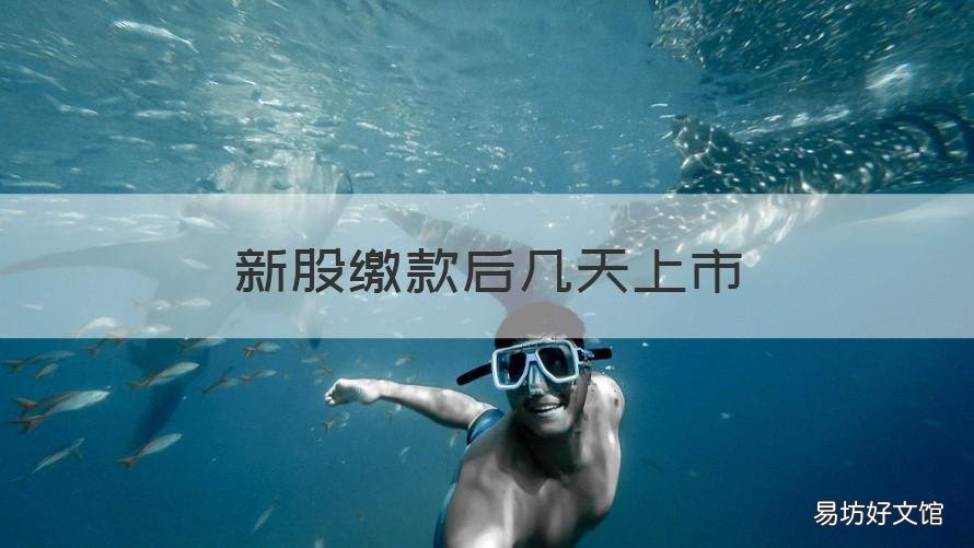 新股缴款后几天上市 申购新股缴款后几天上市