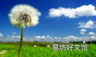 蒲公英根的副作用 蒲公英根有什么副作用吗